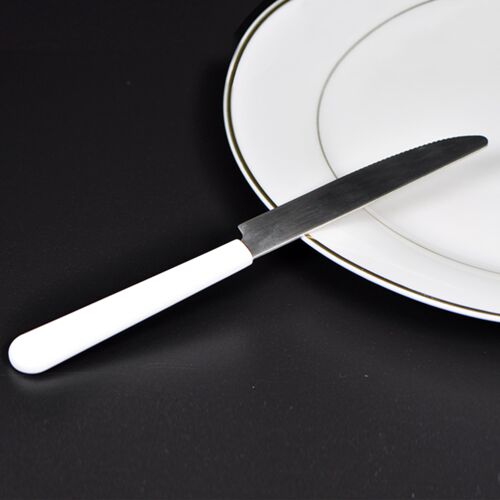 Stainless Steel Knife with Polymer Handle for Adult Thumbnail